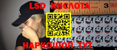 амф Новодвинск