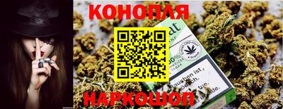 амф Новодвинск